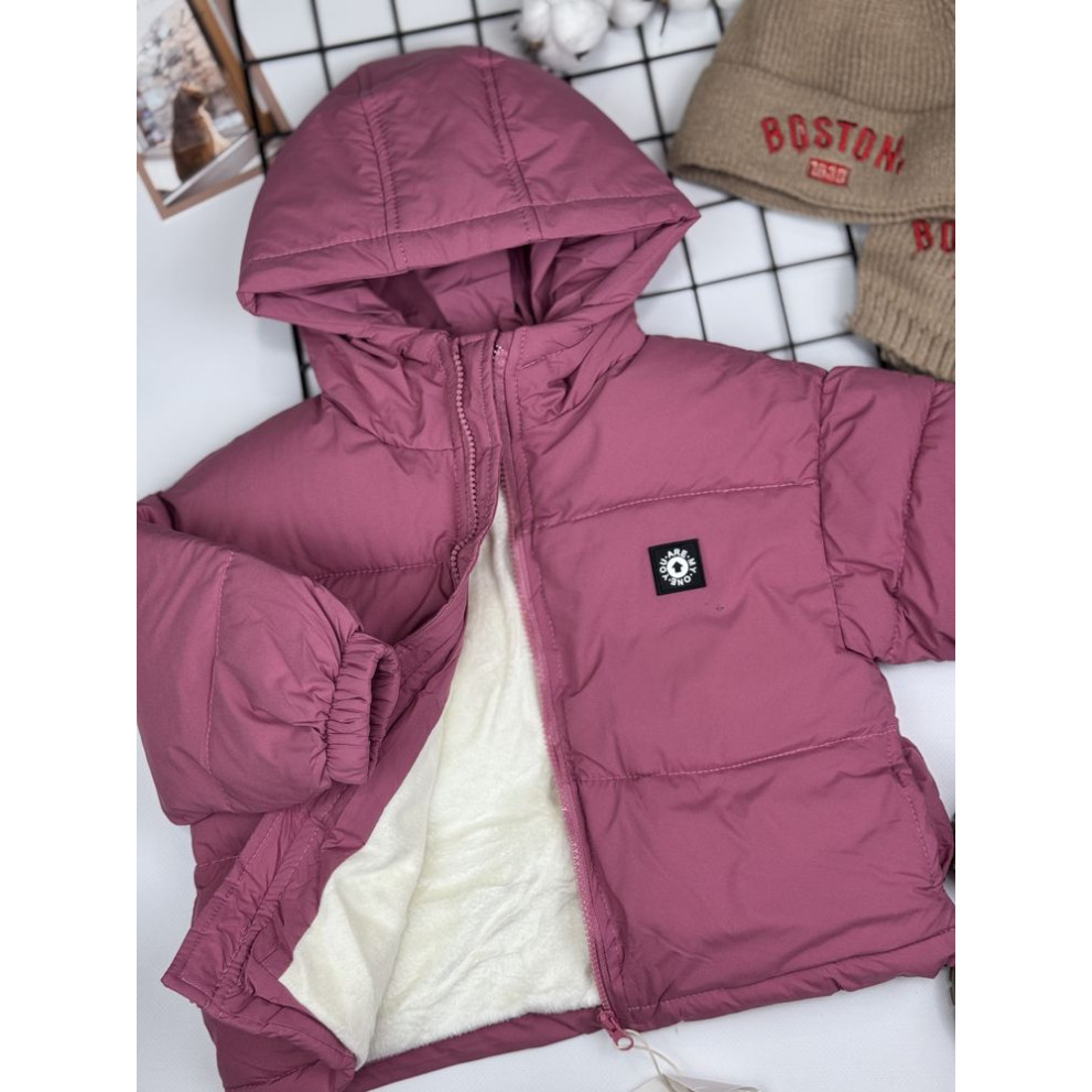 Куртка єврозима для дівчинки колір рожевий 10936