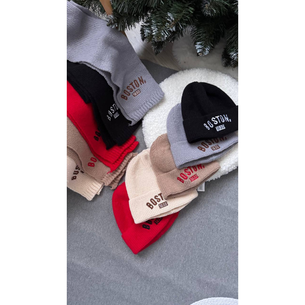 Комплект дитячий шапка і шарф Boston колір чорний 10940