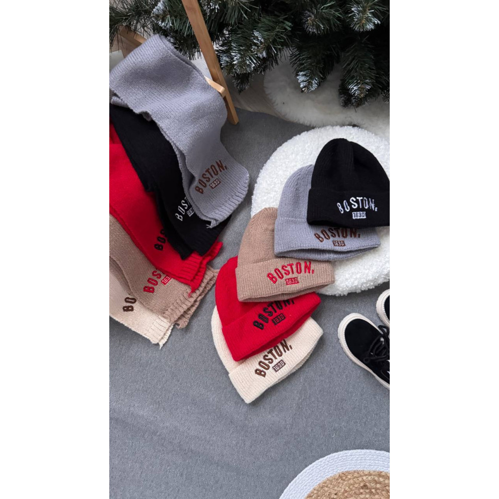 Комплект дитячий шапка і шарф Boston колір сірий 10945