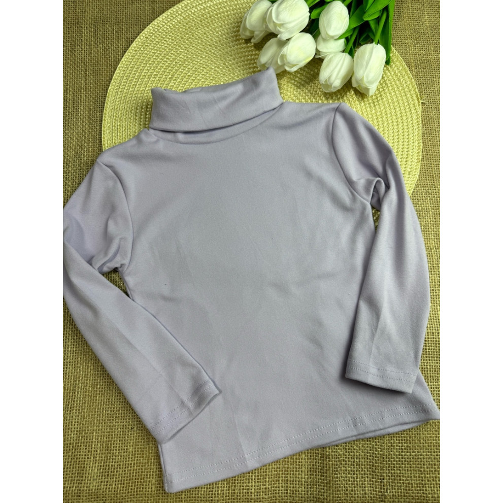 Водолазка-гольф дитячий 10621 Водолазка-гольф дитячий 10621