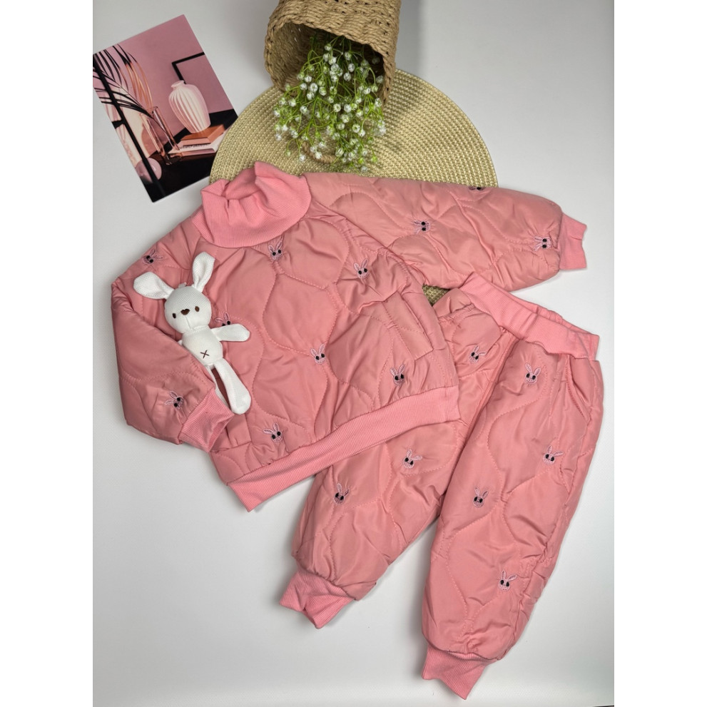 Утеплений костюм для дівчинки рожевий 10655