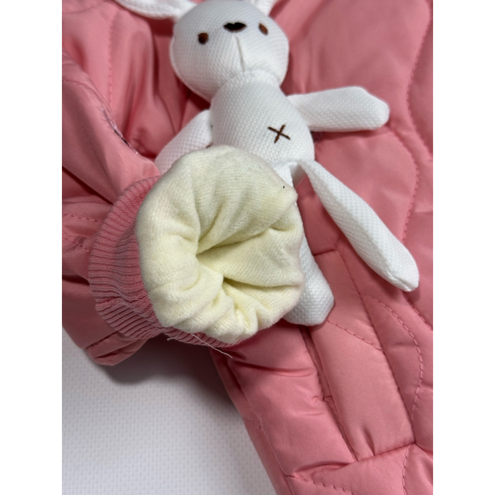 Утеплений костюм для дівчинки рожевий 10655