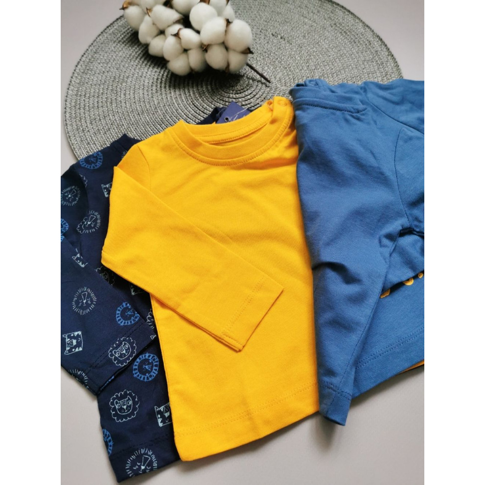 Комплект регланів для хлопчика Wild one 30104