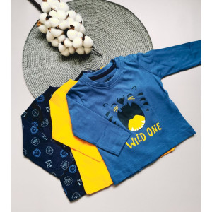 Комплект регланів для хлопчика Wild one 30104