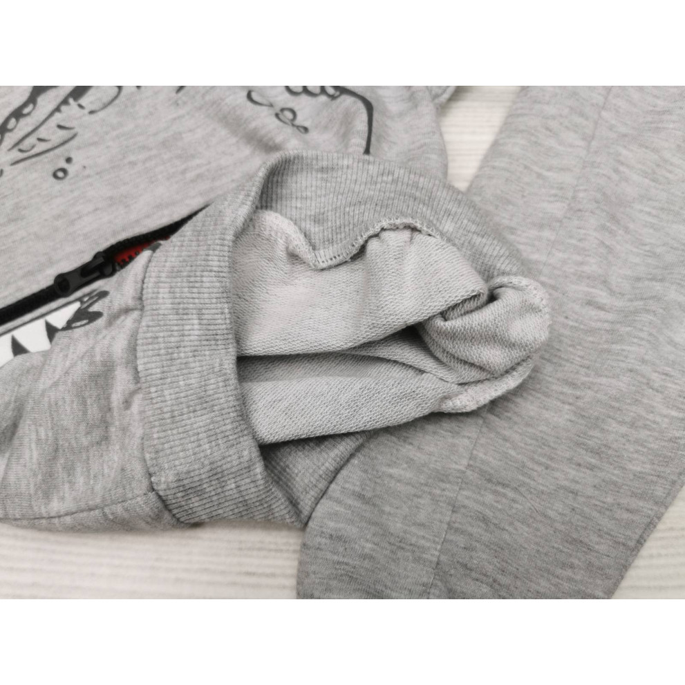 Костюм хлопчику Діно сірий 1763