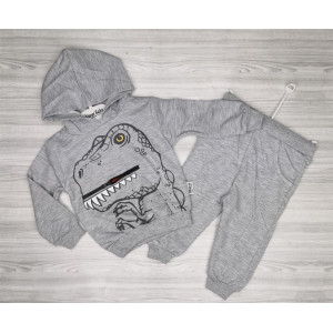 Костюм хлопчику Діно сірий 1763