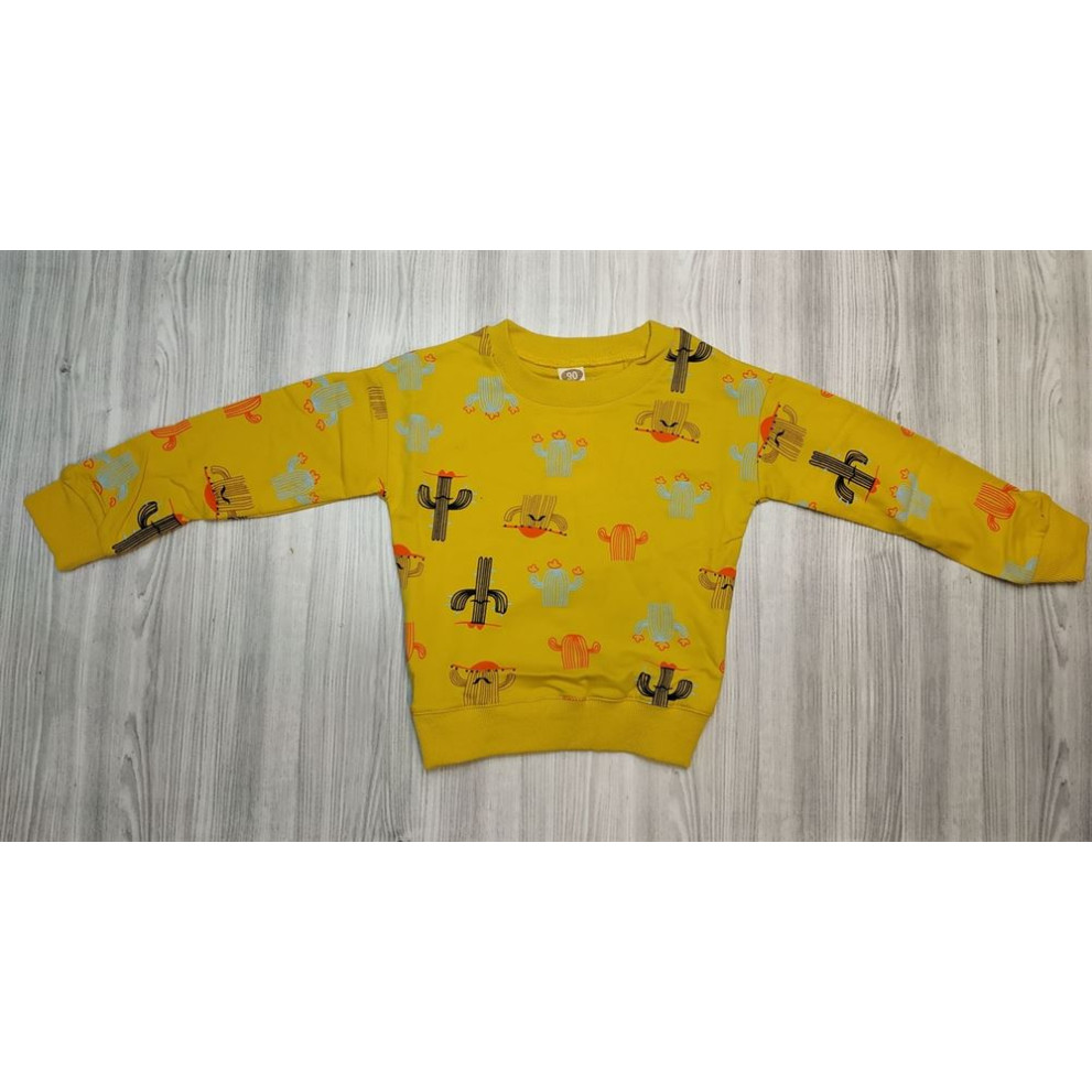 Реглан для хлопчиків з кактусами жовтий