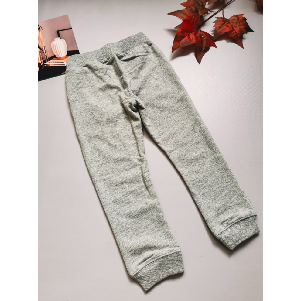 Спортивні штанці сірі 30102