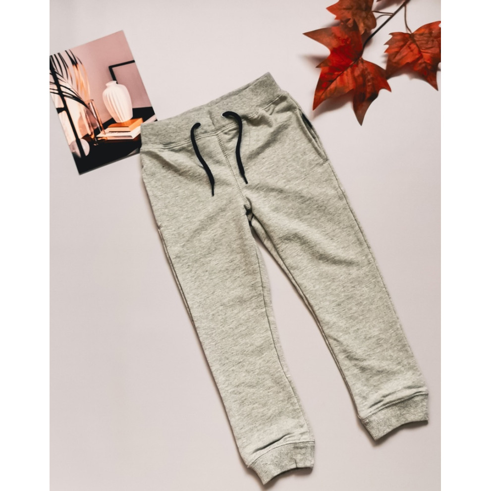 Спортивні штанці сірі 30102