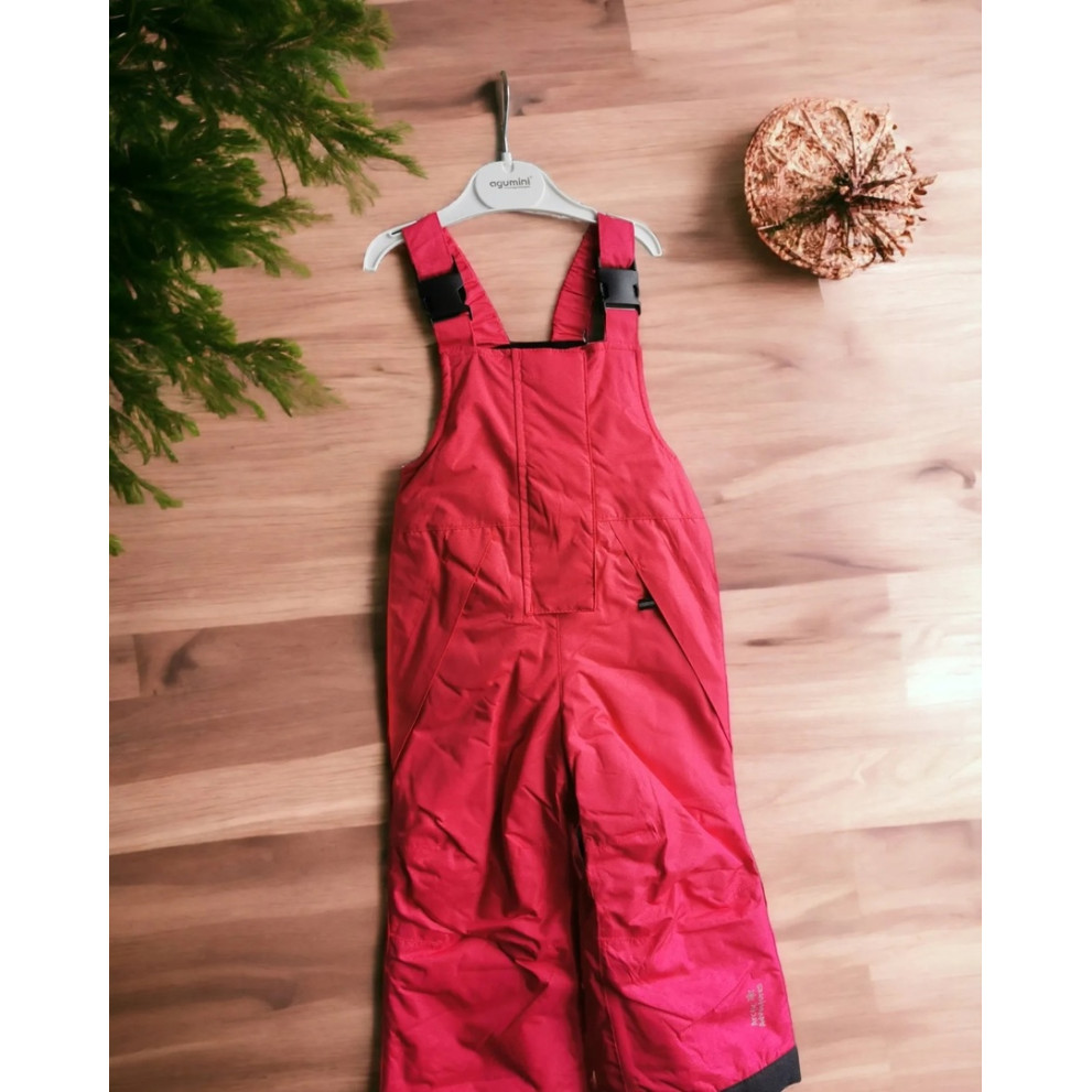 Зимовий напівкомбінезон 30253